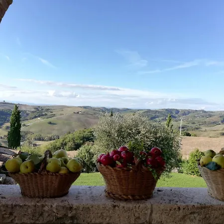 Monsole - * Montalcino