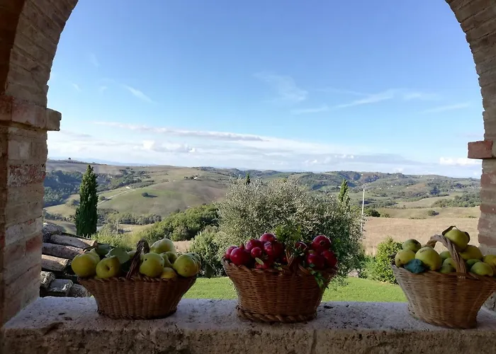 Monsole - * Montalcino